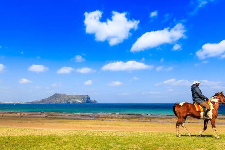 Experience the beauty of Jeju's coastline while horse riding with stunning views of volcanic landscapes and the serene sea perfect for making unforgettable memories in nature.